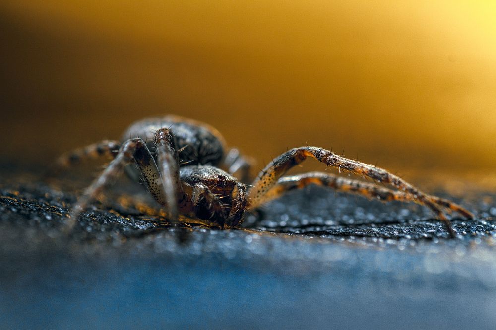 Непростой портрет.