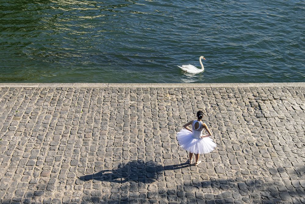 The swan and the ballerina