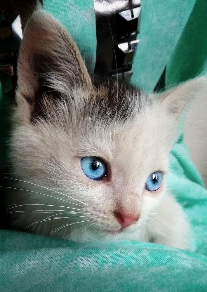 Photograph by Шаповалова Анна