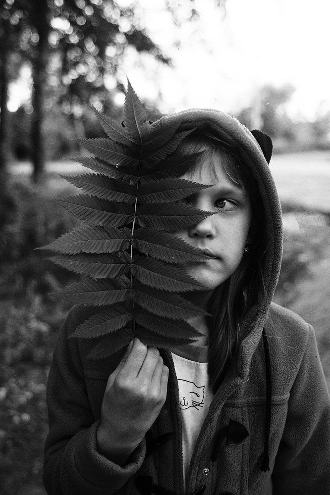 Папоротник