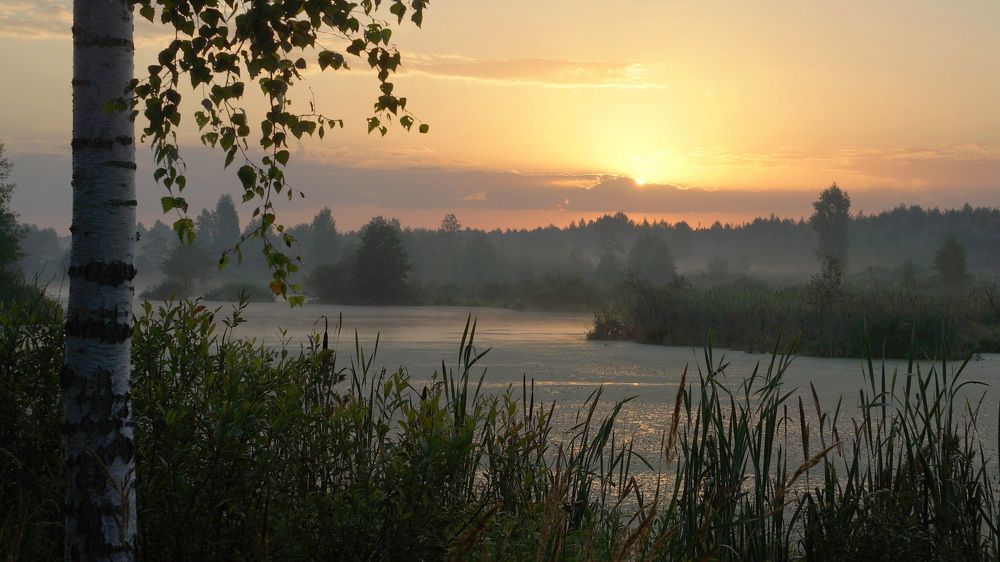 рассвет на болотах.
