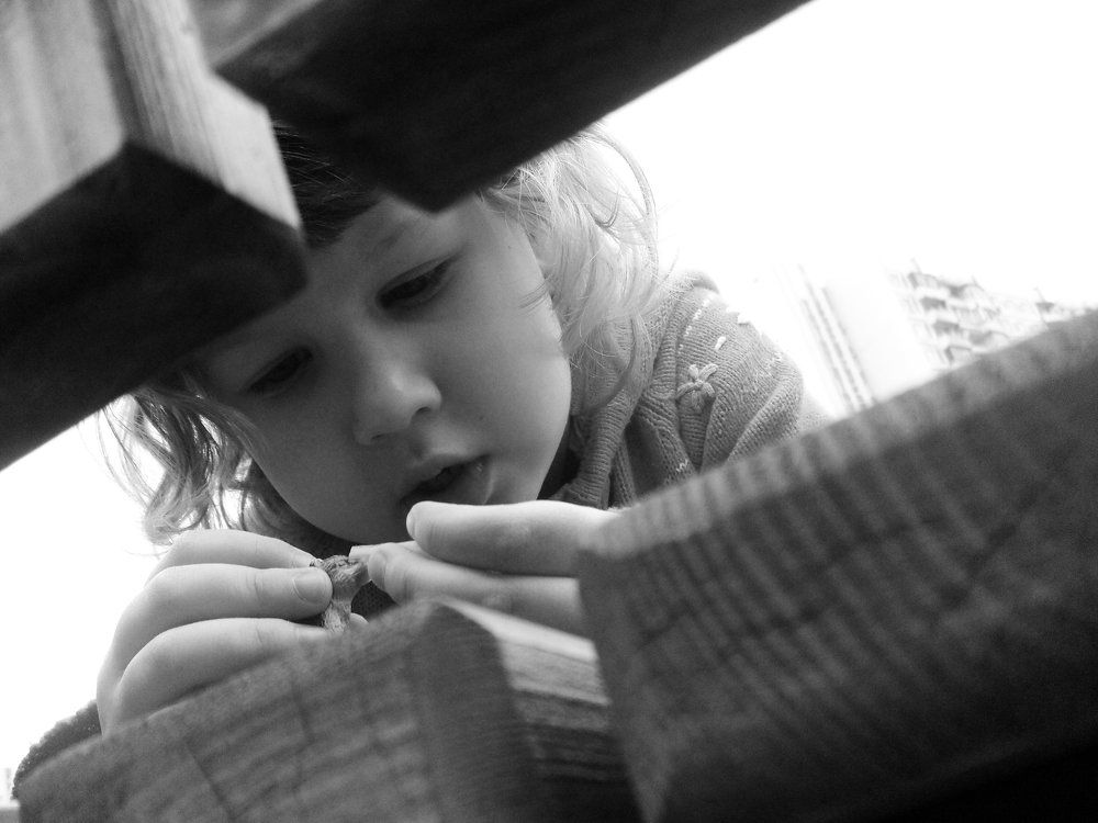 На скамейке