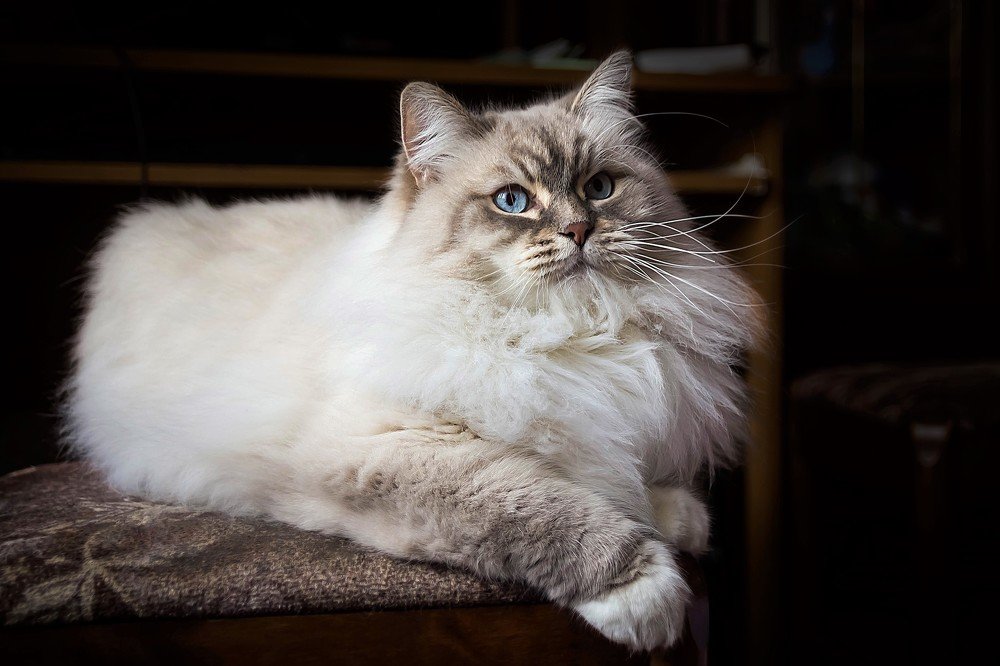 Photograph by Ирина Решетникова