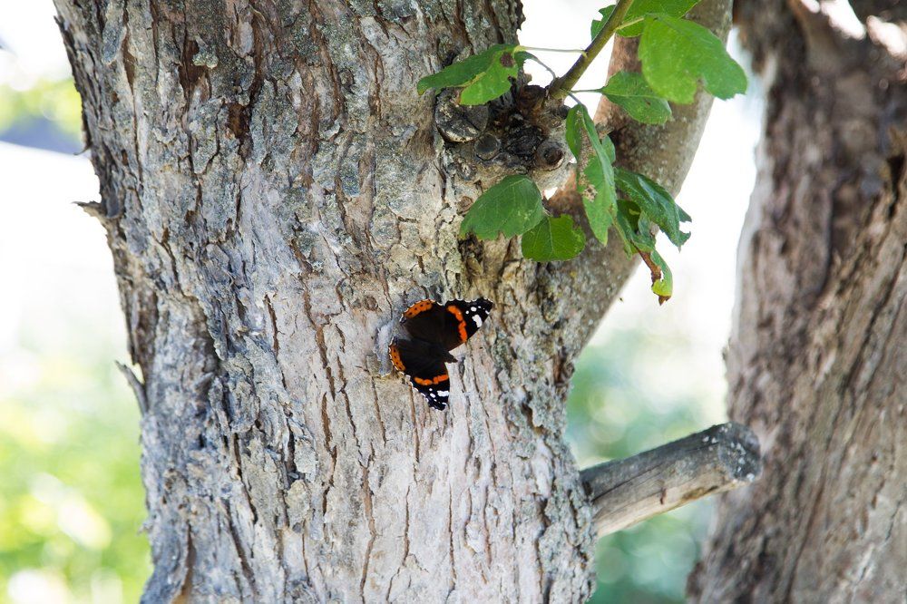 Photograph by Valery Vinnitsky