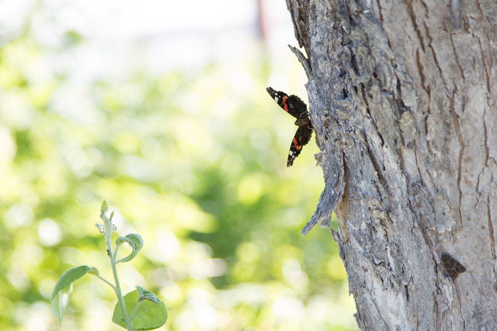 Photograph by Valery Vinnitsky