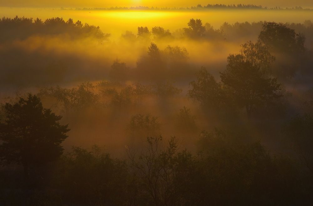 Летнее утро