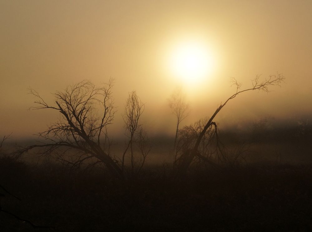 затуманило.
