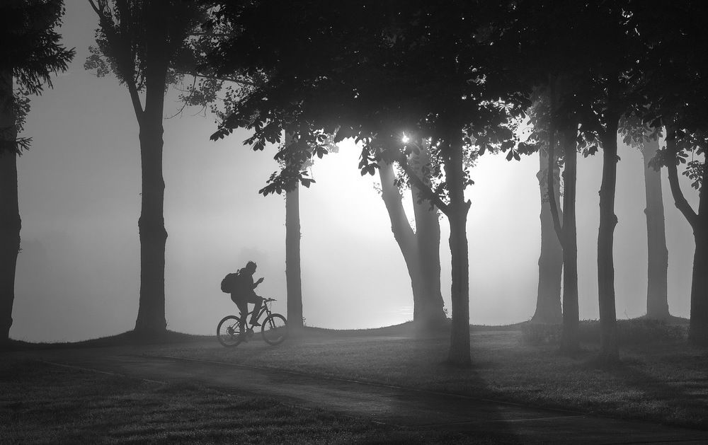 Утренняя прогулка