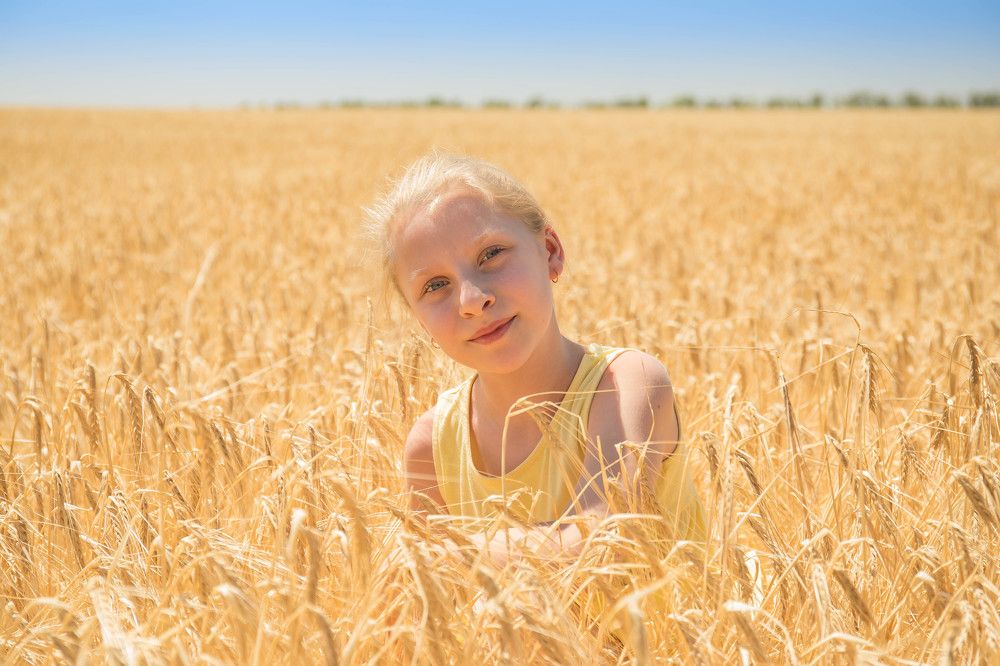 Золото земли Ростовской