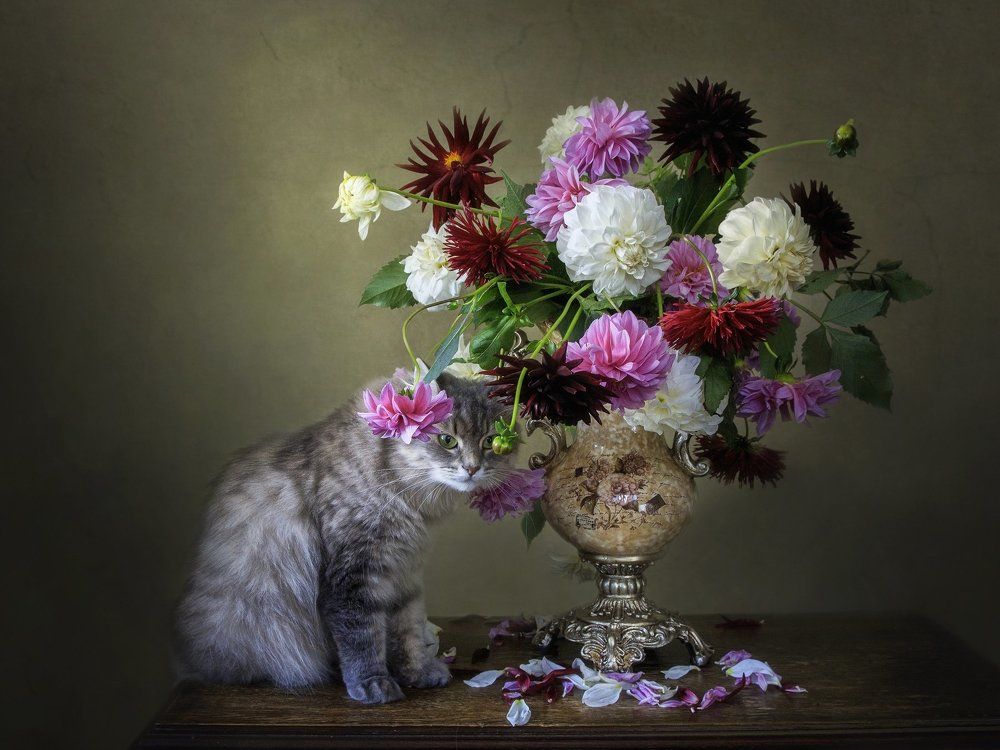 Photograph by Ирина Приходько