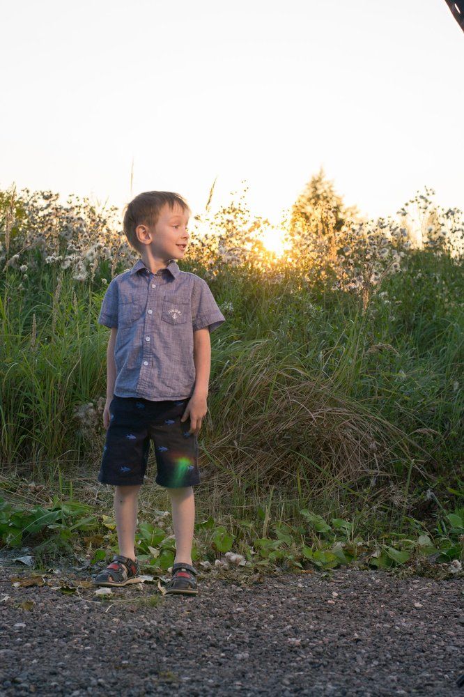 Последний луч солнца