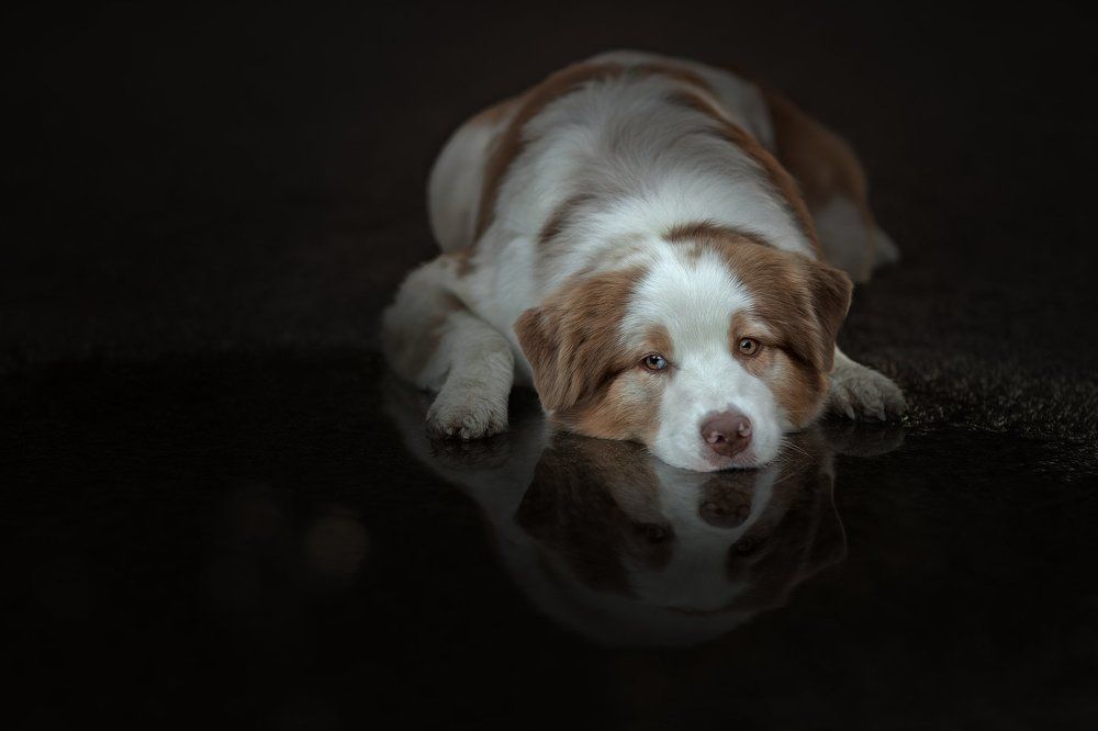 на отдыхе:)))