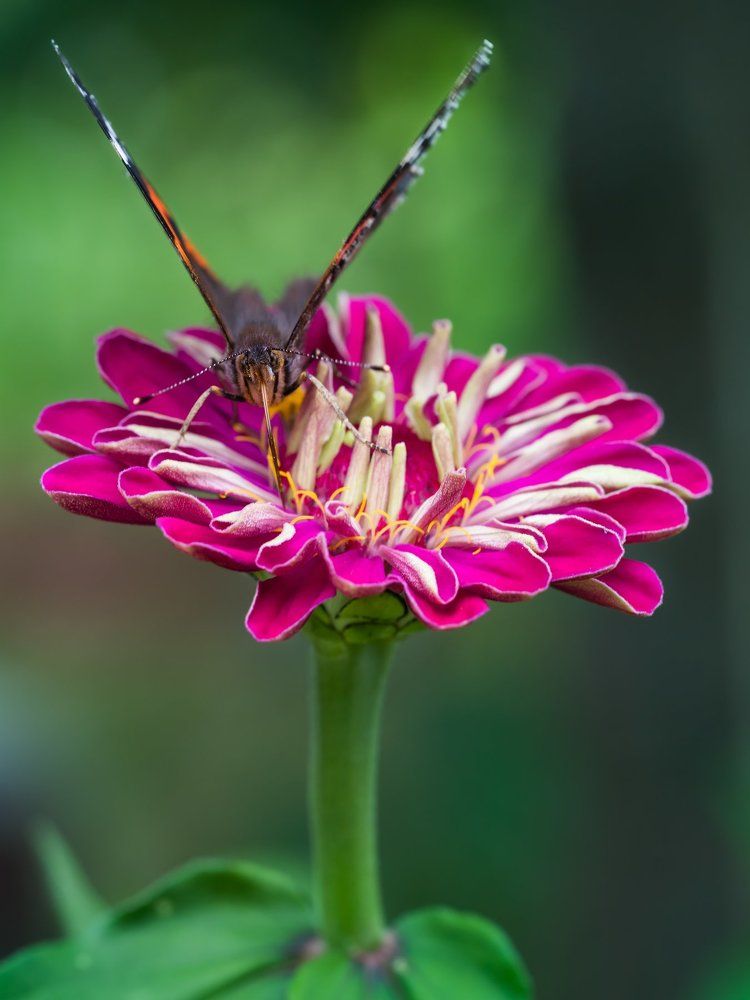 Фотография автора ЯR Ольга