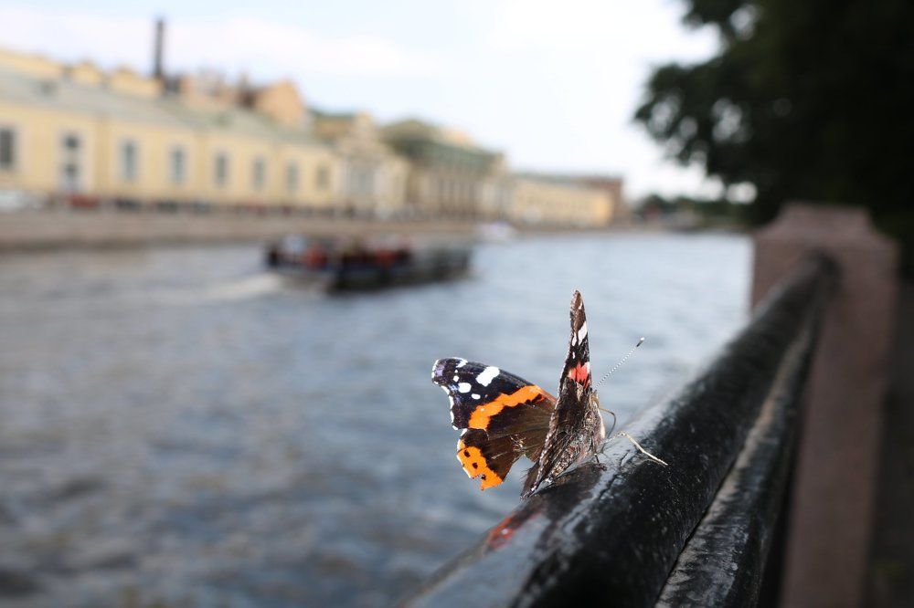 Photograph by Гарах Татьяна