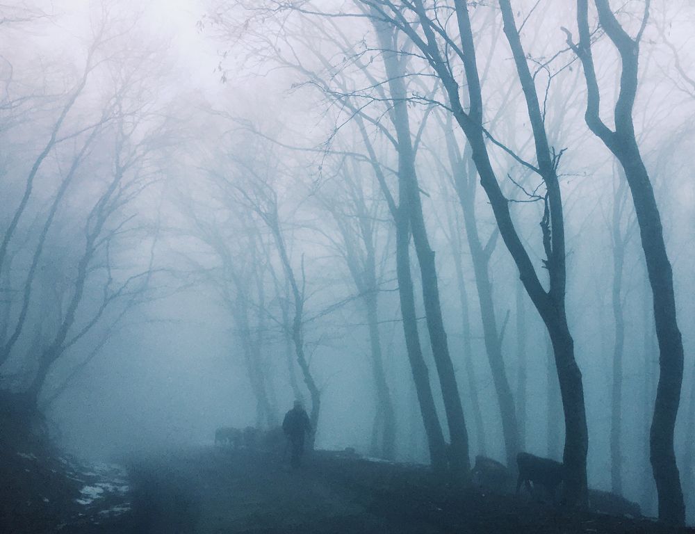 Осень в деревне Коджори