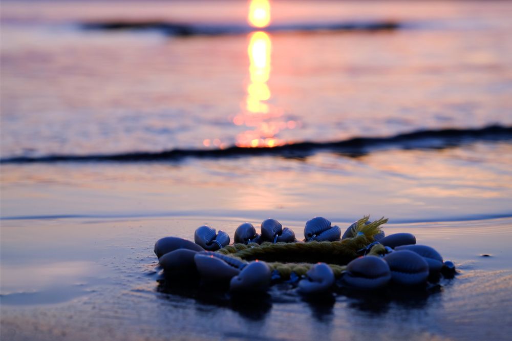 Браслет из ракушек