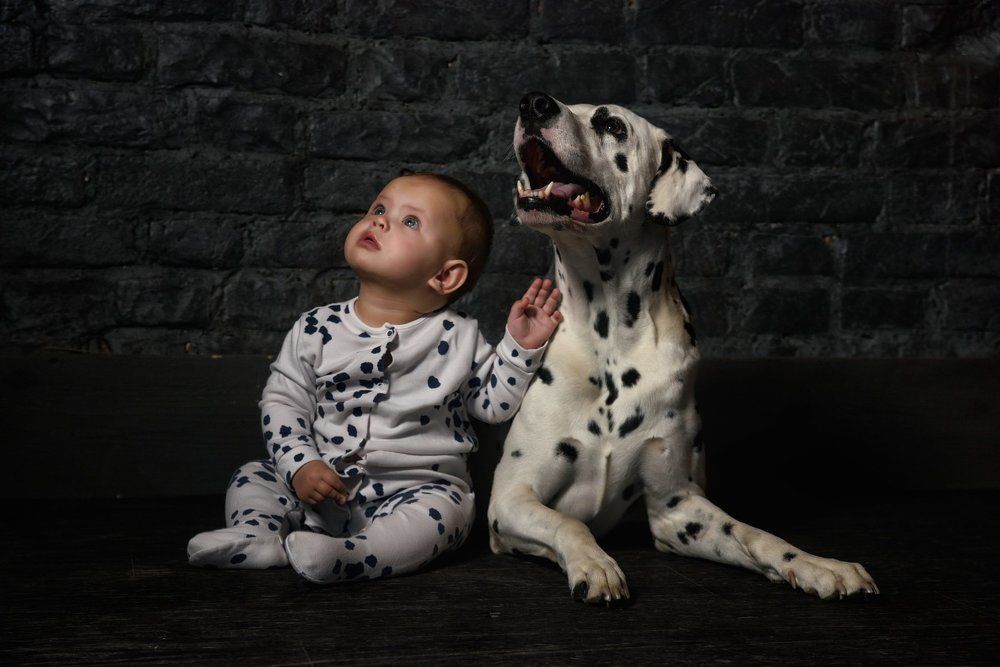 Photograph by Максим Михайлов