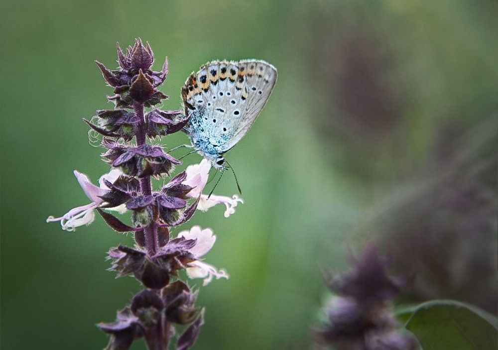 Photograph by Валентина