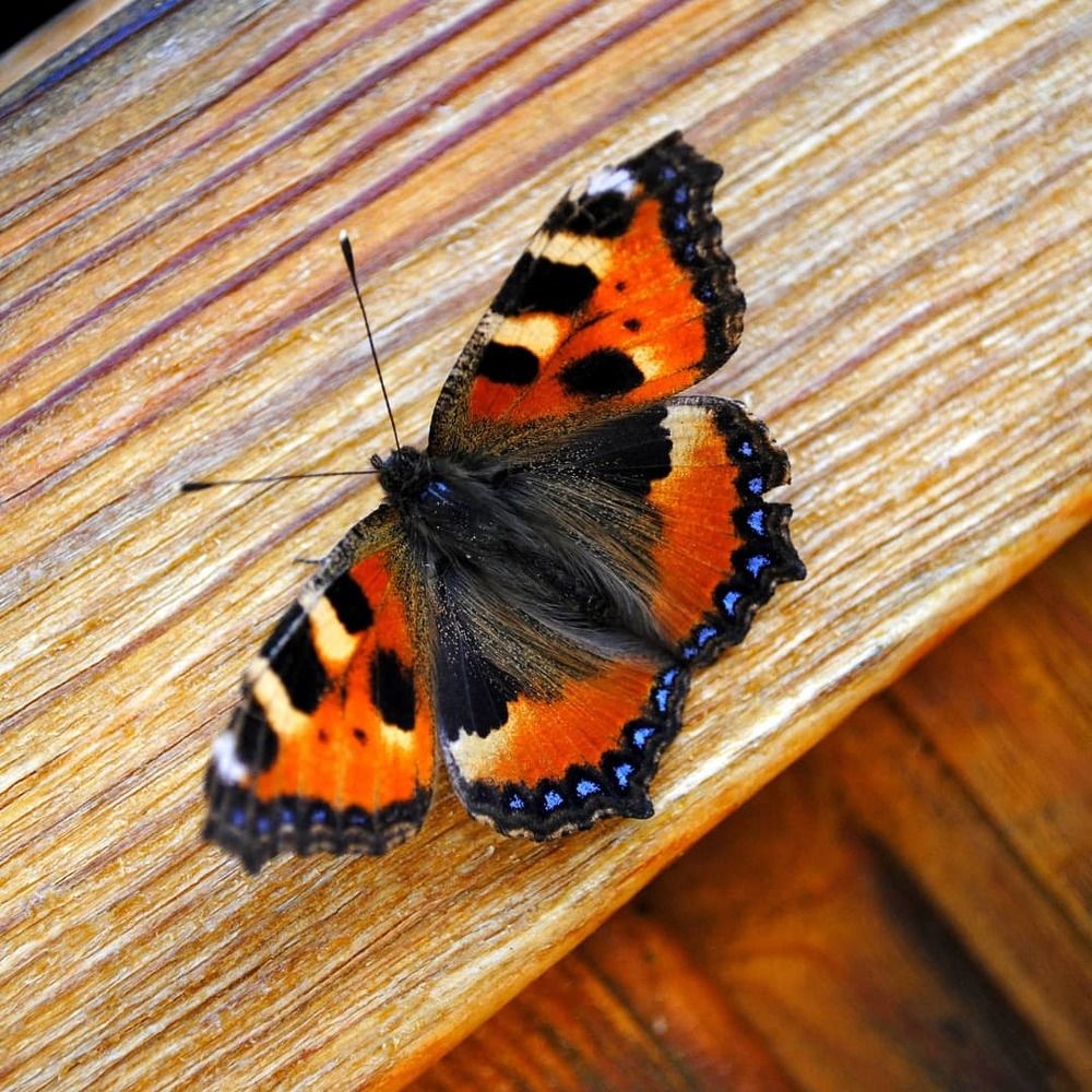 Photograph by Ксения Корсакова