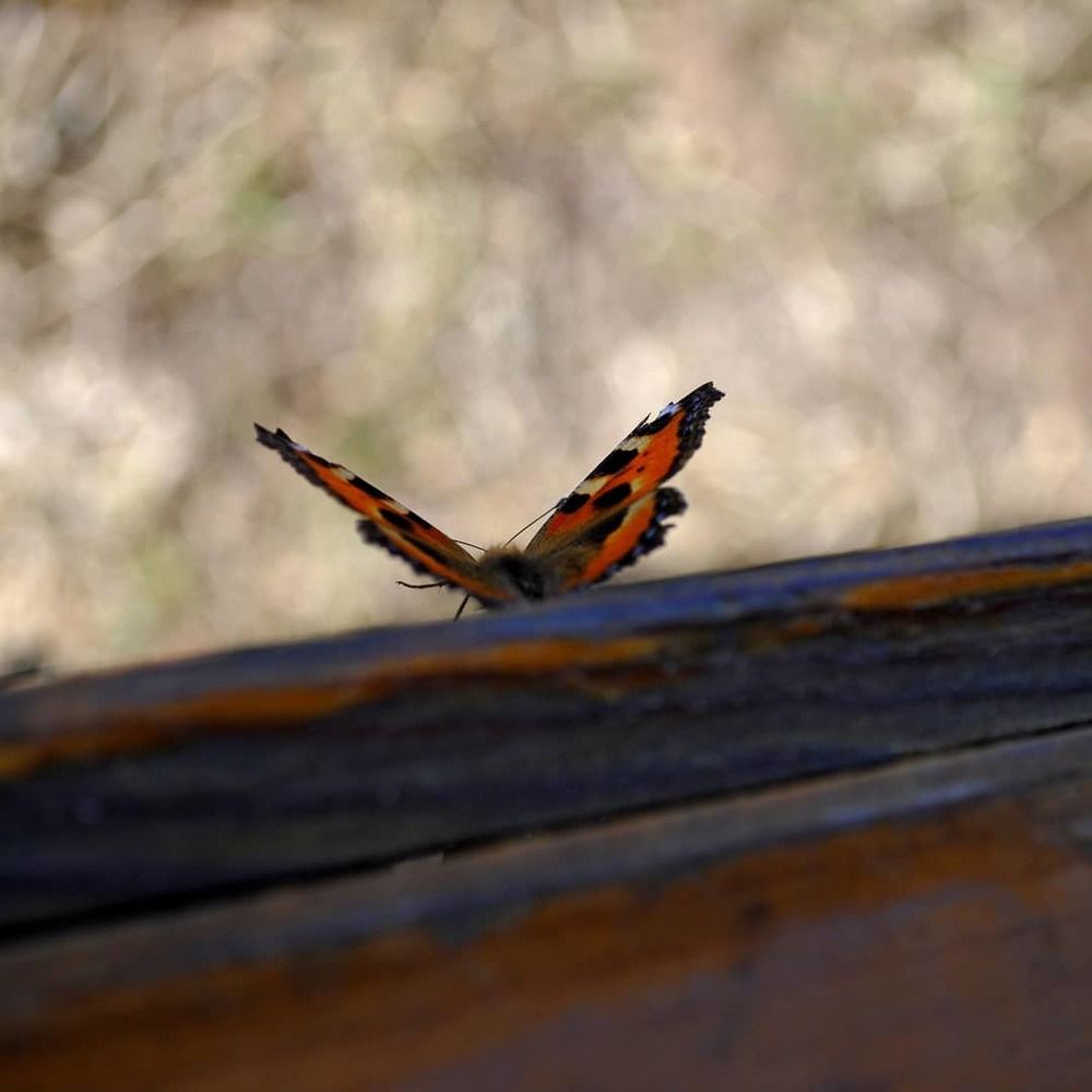 Photograph by Ксения Корсакова