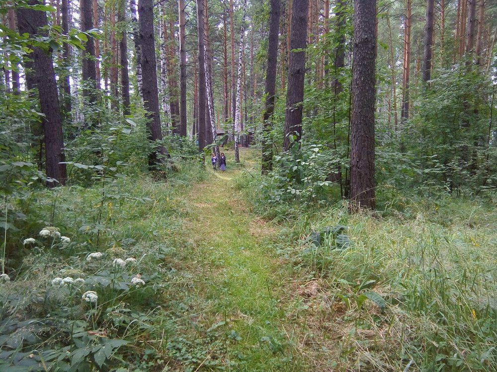 На прогулке