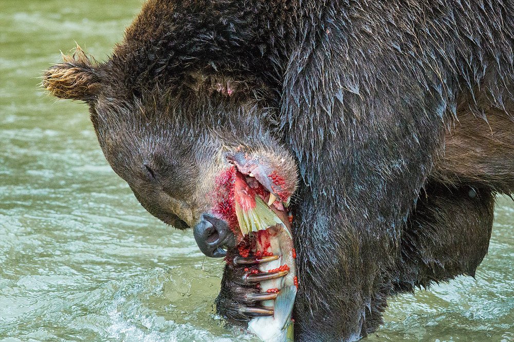 Удачный улов.