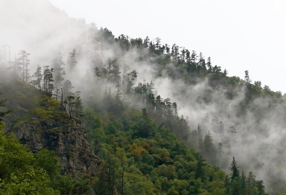 В долине Марухи