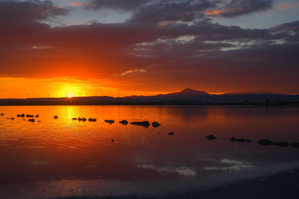 Larnaca Salt Lake