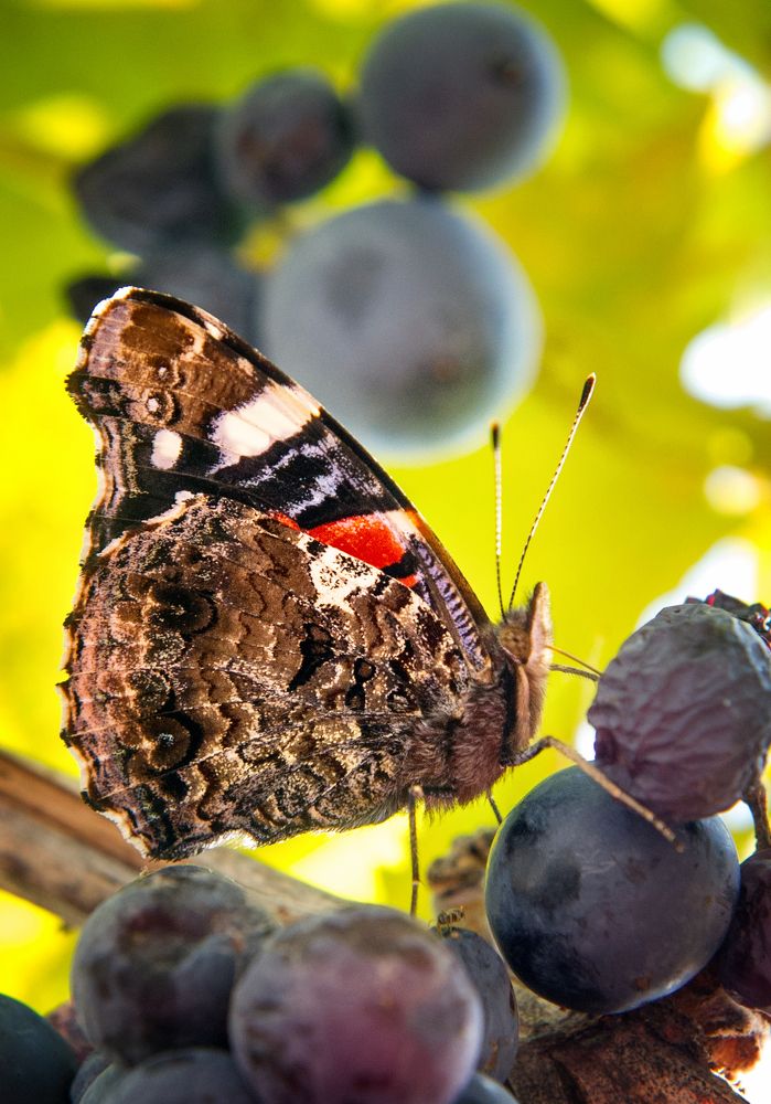 Photograph by Юрий Бершадский