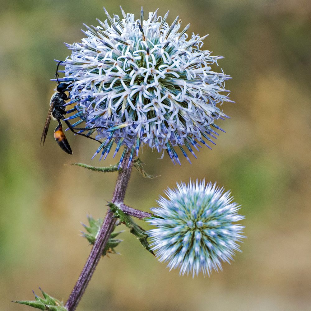 Photograph by Сударыня-МСИ