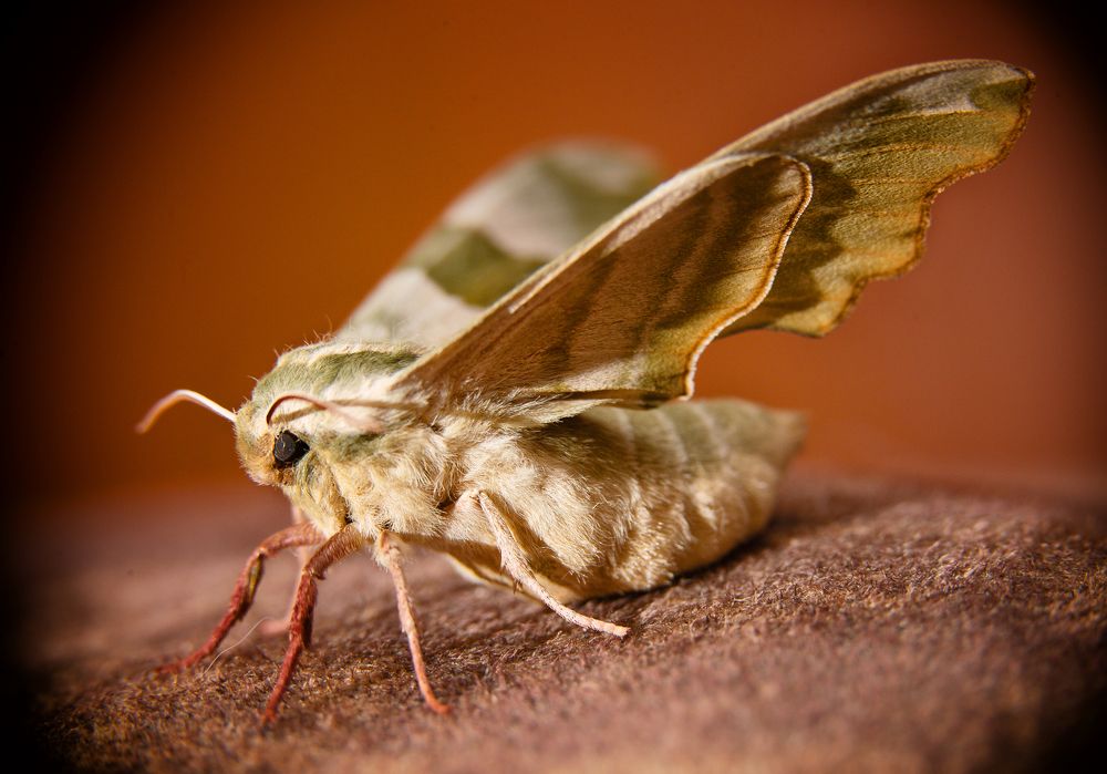 Photograph by Юрий Бершадский