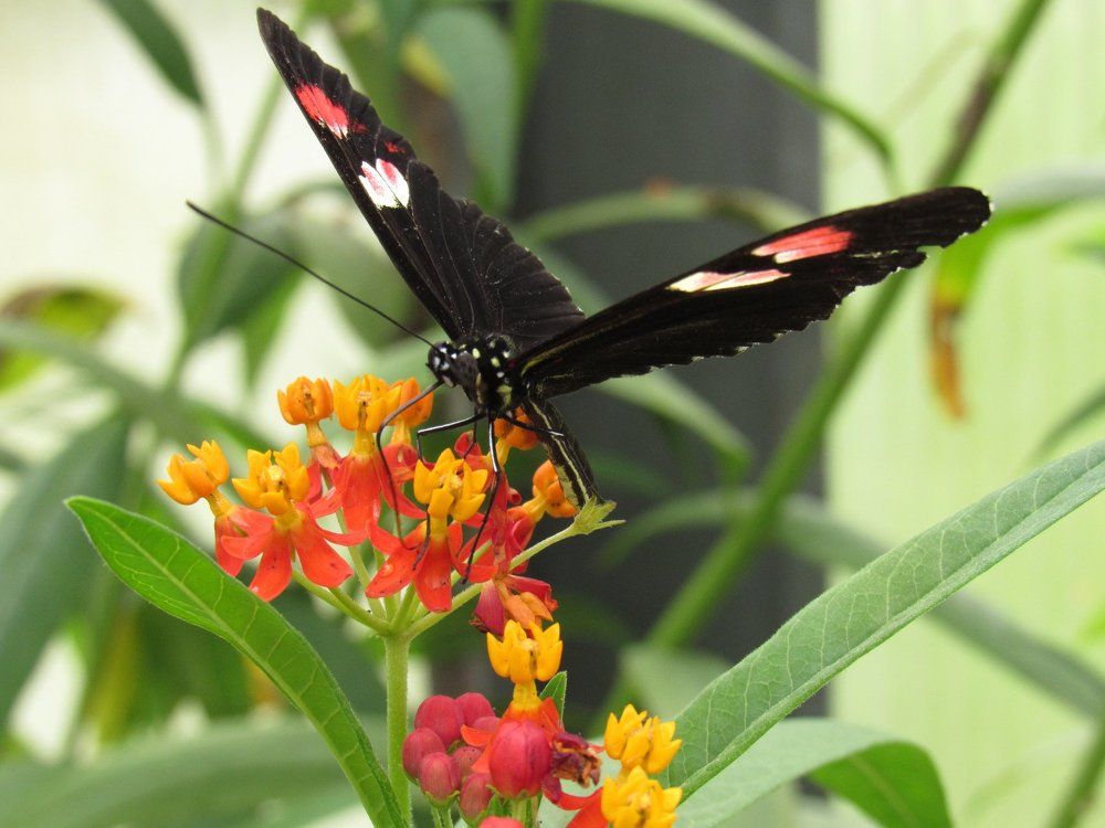 Photograph by Карина Хаустова