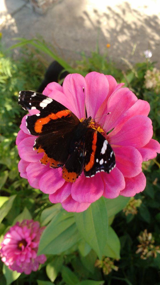 Photograph by Надежда