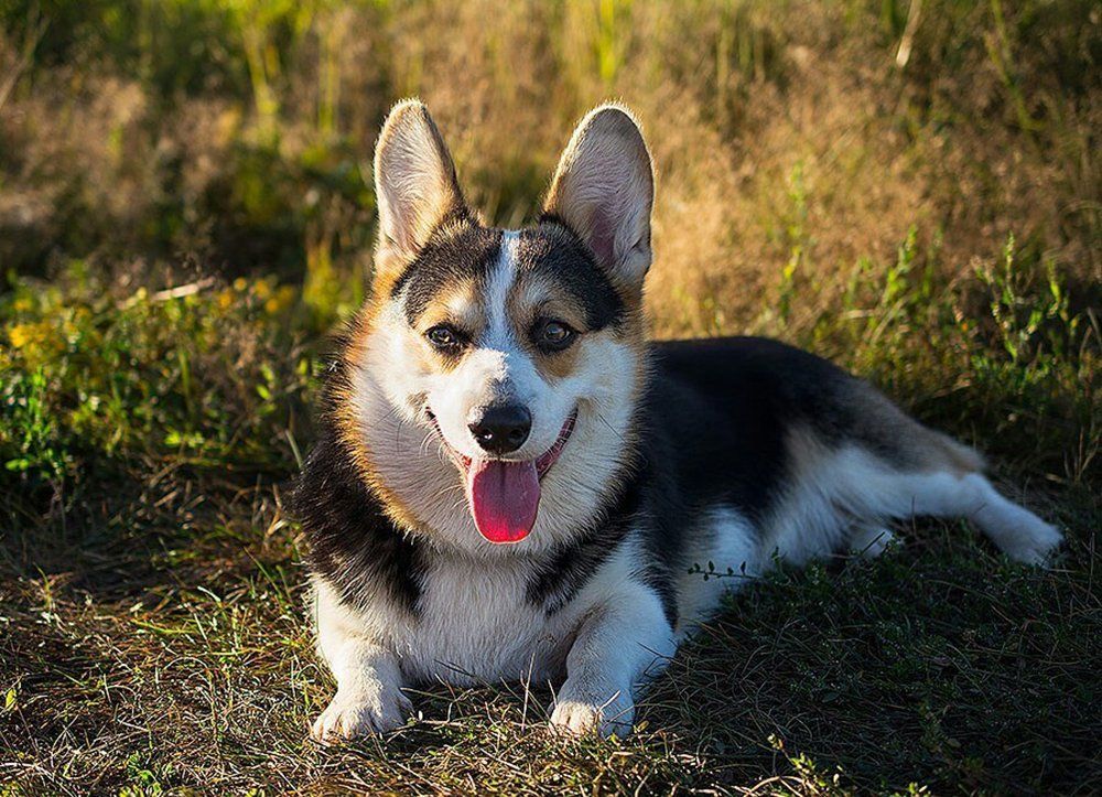 Photograph by Павлова Анастасия