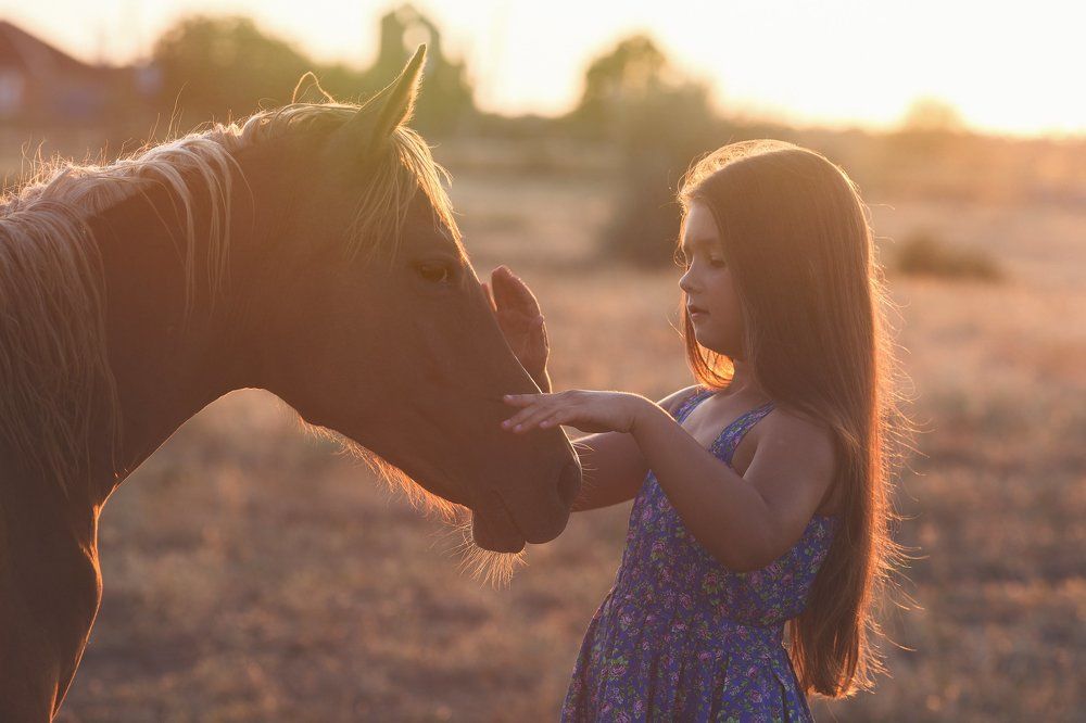 Лето в деревне