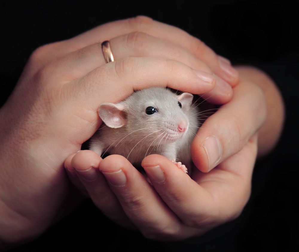 В надежных руках