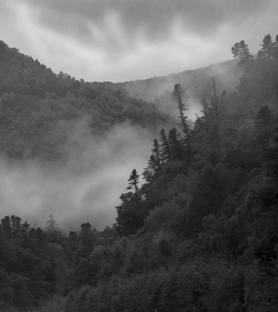 "Сихотэ - Алинь"