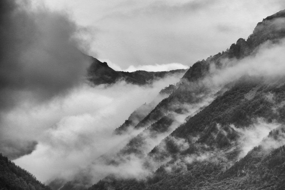 Предчувствие