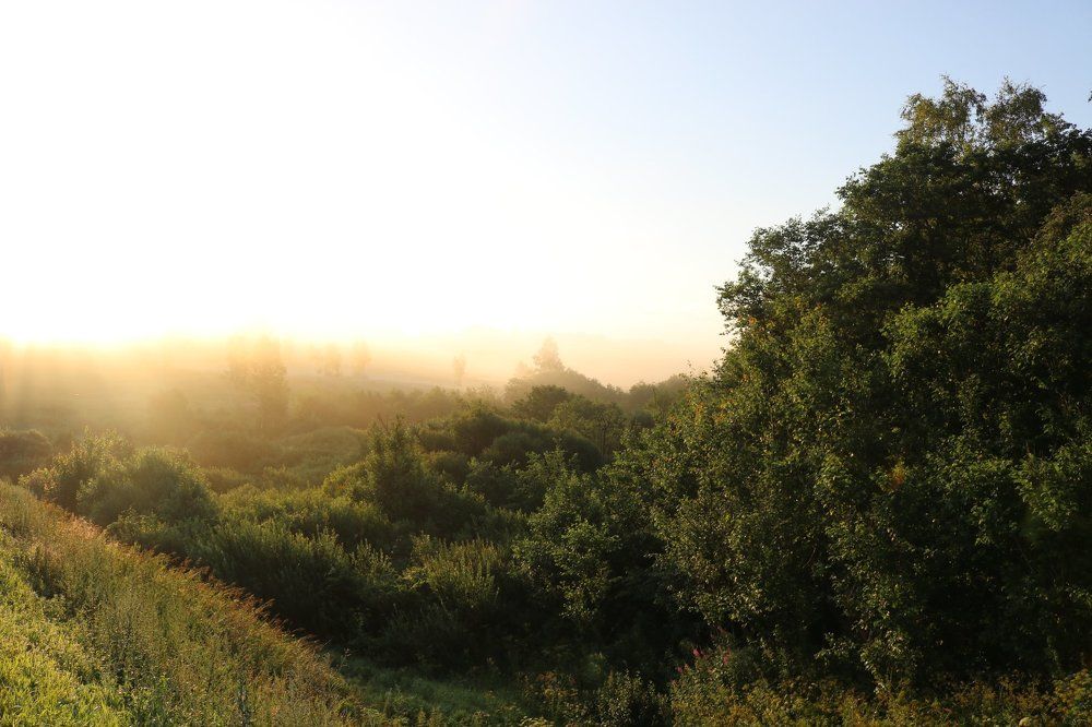 Photograph by Гарах Татьяна