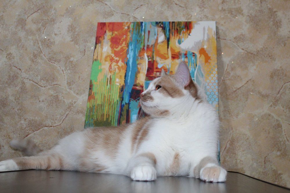 Photograph by Мари Глинская