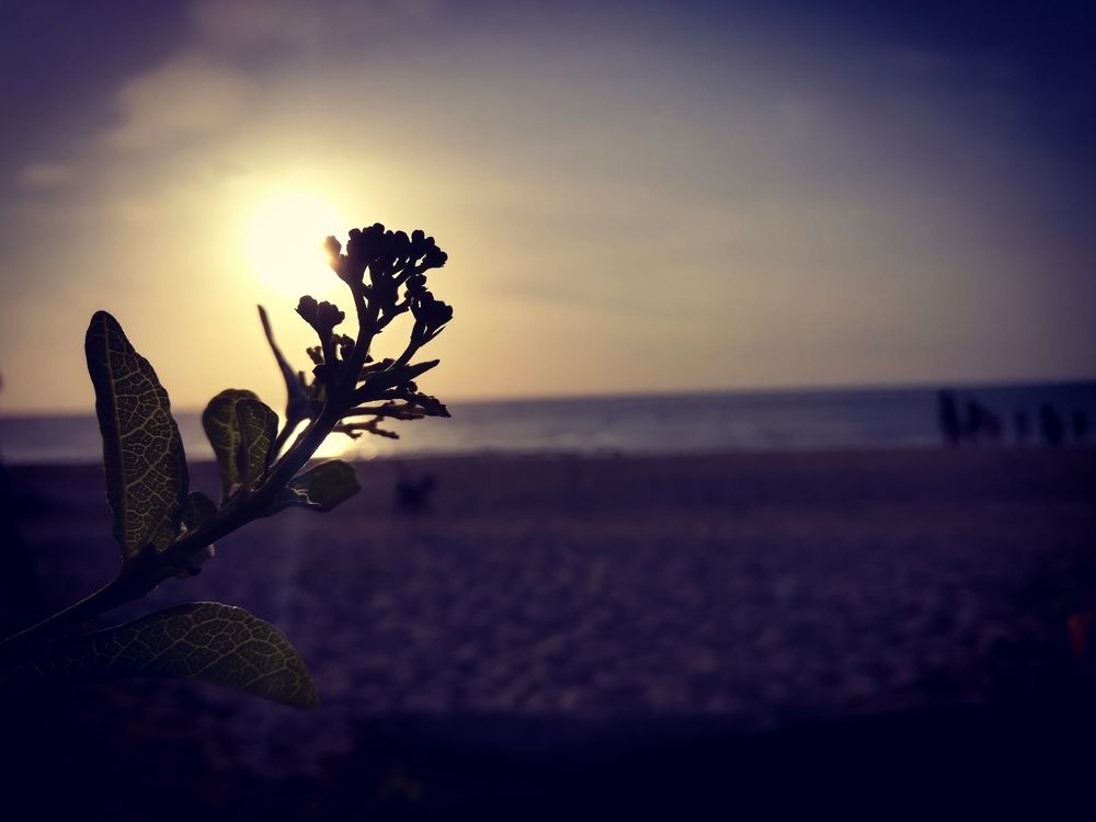 The sun goes down