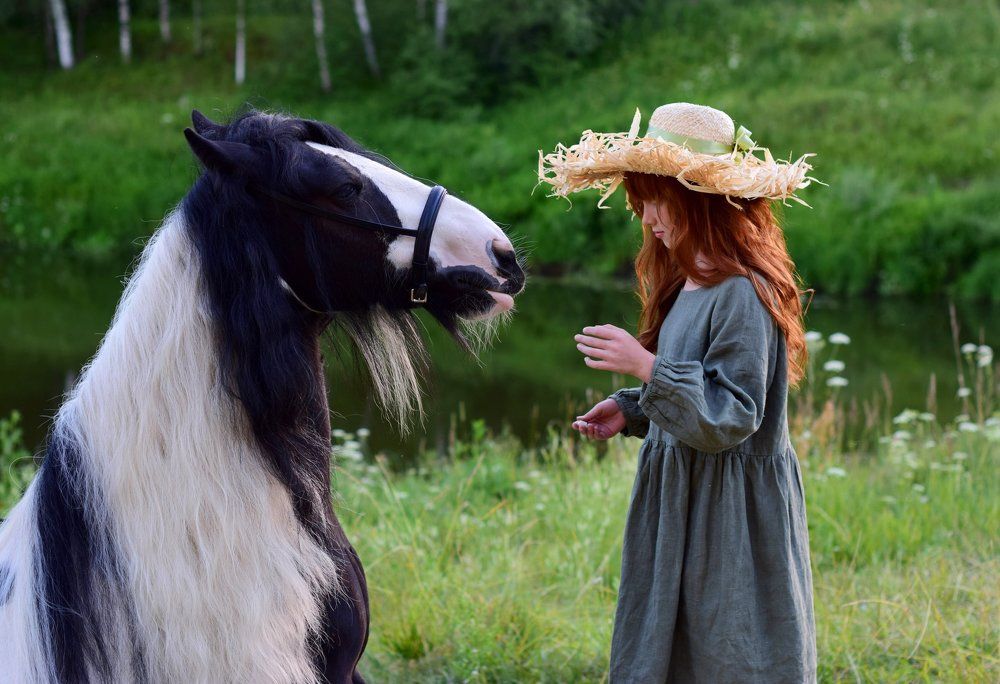 Лошадка и девочка