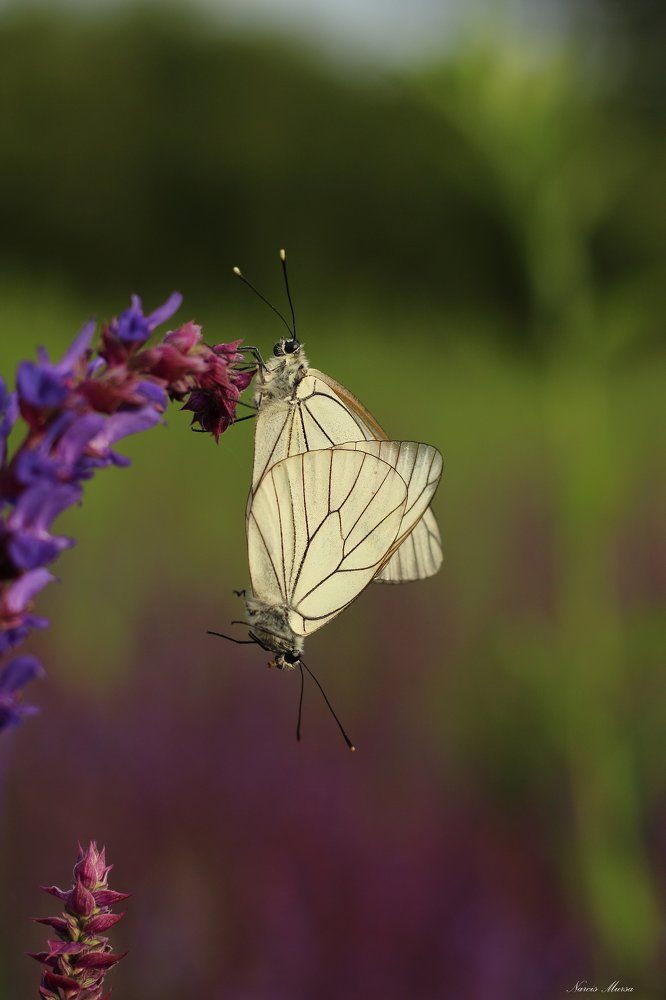 The feelings beyond understanding