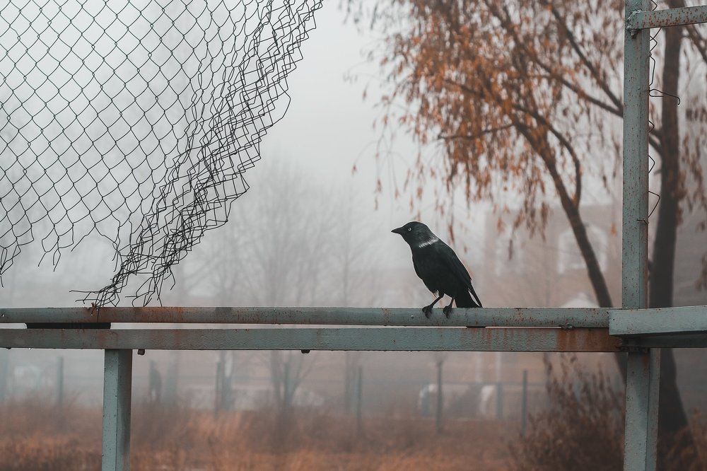 Photograph by наталия