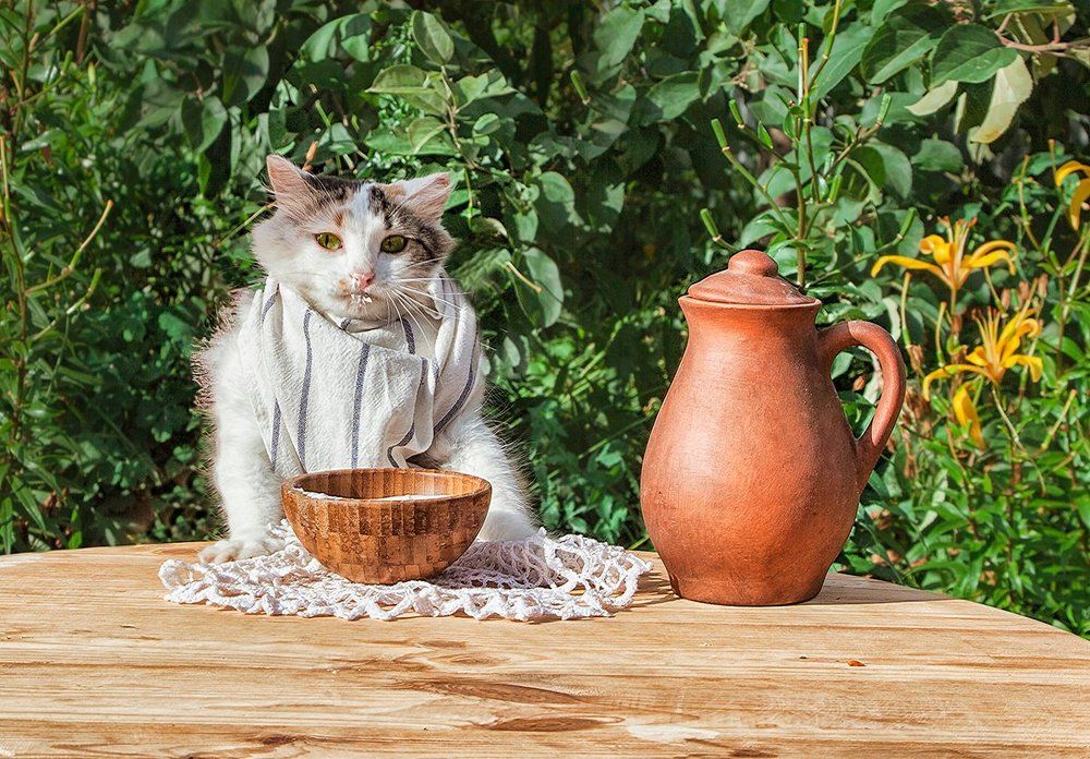 Завтрак на даче.