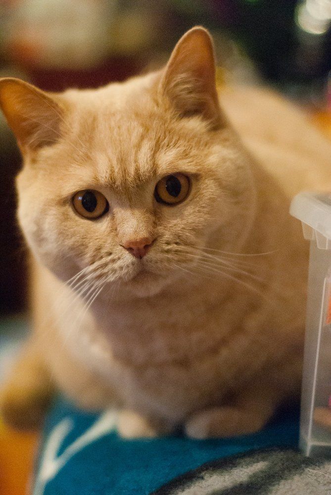 Photograph by Елена Клейменова