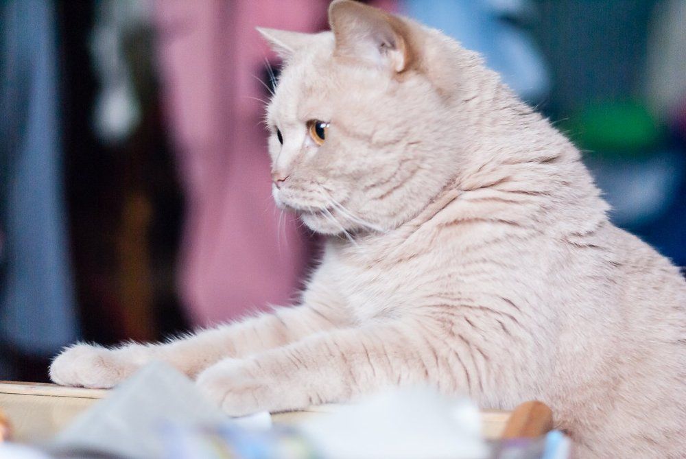 Photograph by Елена Клейменова