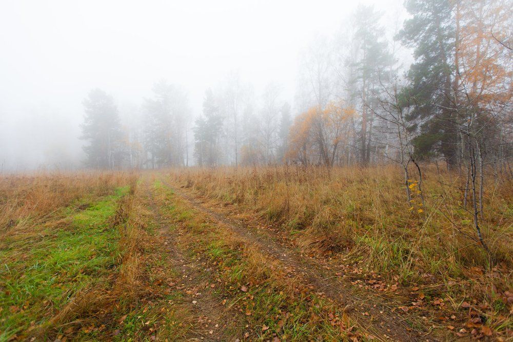 Photograph by Александр Лапшин