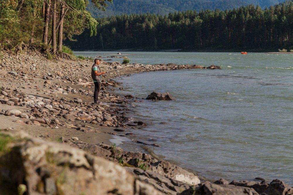 Photograph by Александр Лапшин