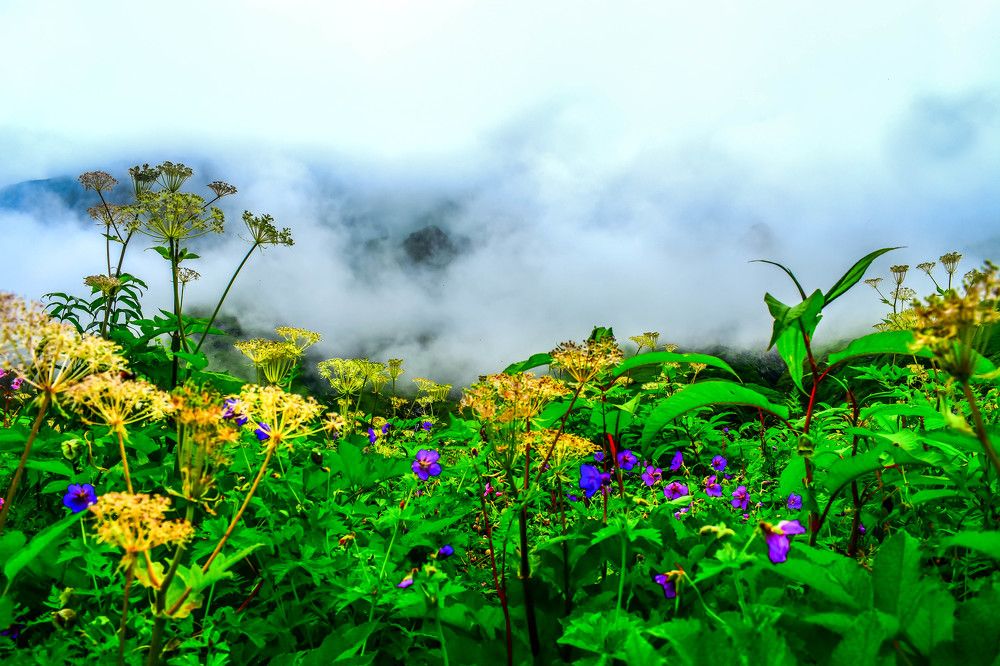 Фотография автора Vijay Richhiya